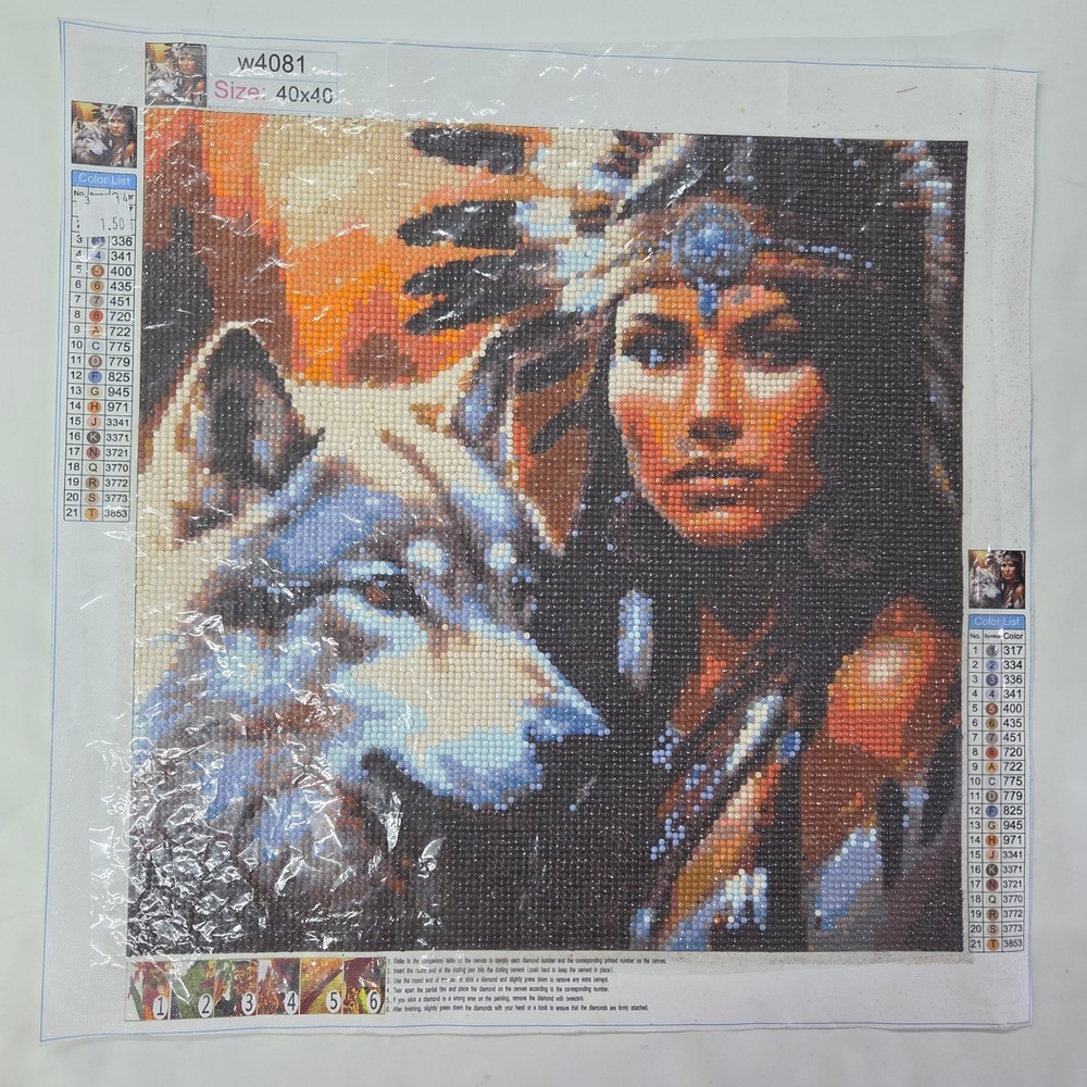 Unbranded Completed Diamond‎ Painting Art 40x40 Multicolor Native American Wolf